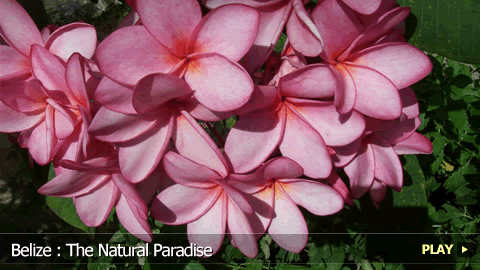 Belize: The Natural Paradise