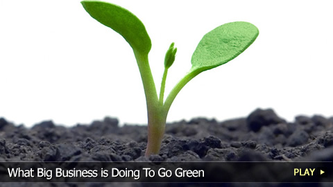 What Big Business is Doing To Go Green What Big Business is Doing To Go Green