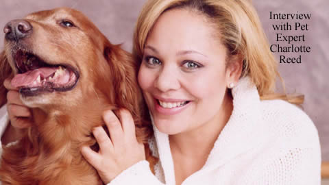 Pet Expert Charlotte Reed