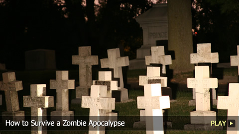 How To Survive A Zombie Apocalypse How To Survive A Zombie Apocalypse