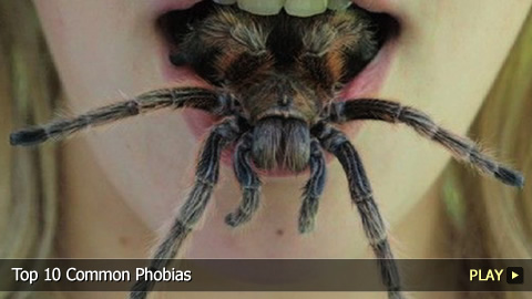 Top 10 Common Phobias Top 10 Common Phobias