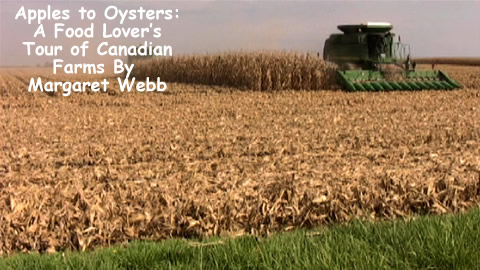 Interview With Margaret Webb, Author of Apples to Oysters