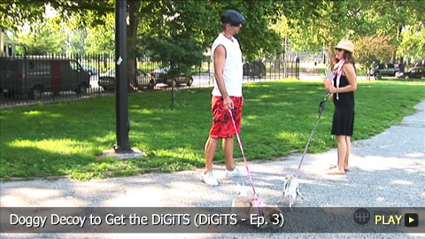 Doggy Decoy to Get the DiGiTS (DiGiTS - Ep. 3)