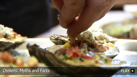 Oysters: Myths and Facts