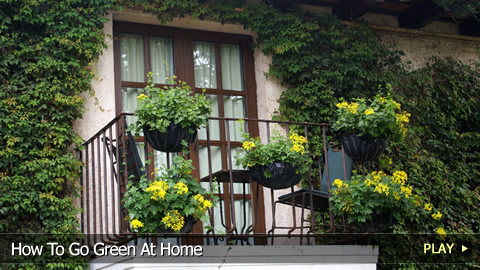 How To Go Green At Home