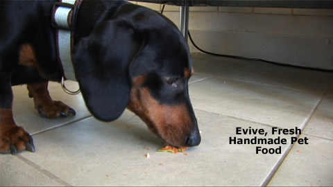 Treat Your Puppy Right With Fresh Handmade Dog Food