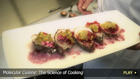 Molecular Cuisine: The Science of Cooking
