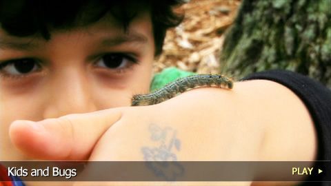 Kids, Bugs And The Outdoors