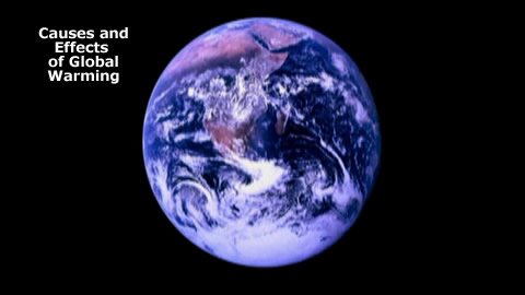 The Effects Of Climate Change
