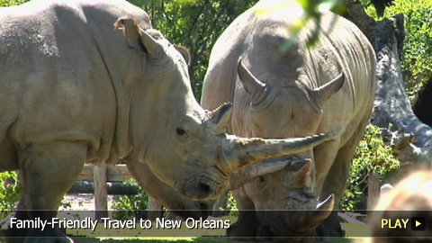 Family-Friendly Travel to New Orleans Family-Friendly Travel to New Orleans
