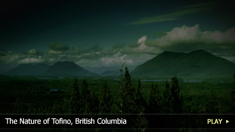 The Nature of Tofino, British Columbia