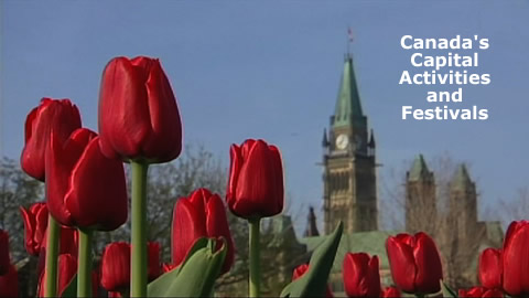 Things To Do in Ottawa