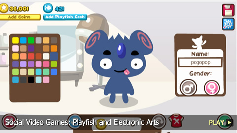 Social Video Games: Playfish and Electronic Arts