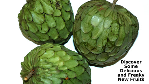 Discover Delicious And Freaky New Fruits