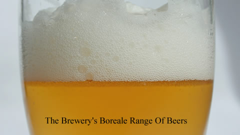 A Microbrew You Can Sip On