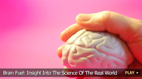 Brain Exercises: Insight Into The Science Of The Real World
