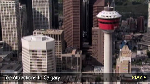 Top Attractions In Calgary