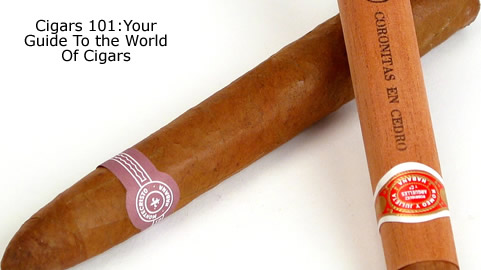 Guide To Cigars
