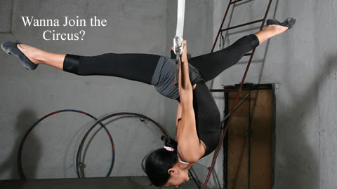 Want to Join the Circus?