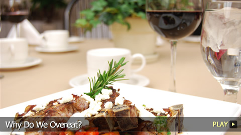 Why We Overeat  Part 1