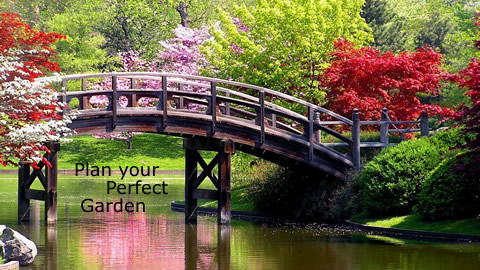 Home and Garden: Create a Show Garden