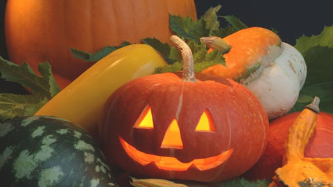 Learn About Halloween