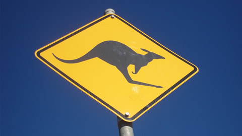 Common Translation Mistakes from Australian to American English