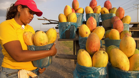 Food of the World - Brazilian 