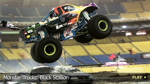 Monster Trucks: Black Stallion