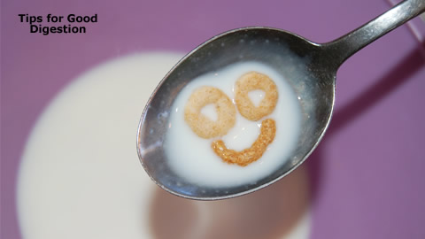 Ways to Help Your Digestive System
