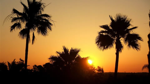 Travel To Orlando, Florida
