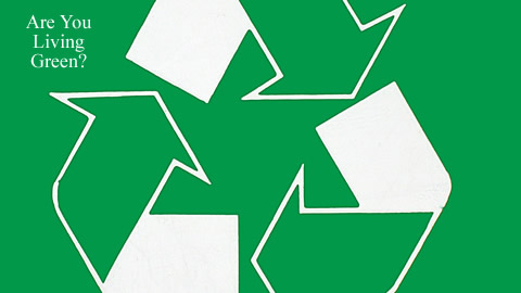 Eco-Tips To Protect The Environment