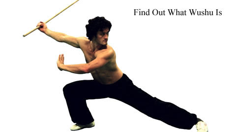 Wushu Martial Arts