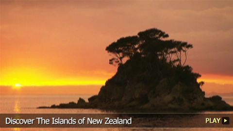 Discover The Islands of New Zealand Discover The Islands of New Zealand