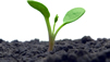 What Big Business is Doing To Go Green