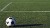 The Technology Of Artificial Turf