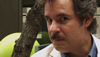 Interview with Comedian Paul F. Tompkins