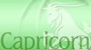 Horoscopes - Signs of the Zodiac: Capricorn (12/23 - 01/20)