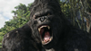 The Origins of King Kong
