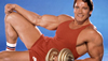 Top 10 Arnold Schwarzenegger Moments