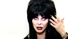The Return of Elvira Mistress of The Dark