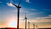Learn About The Leaders of The Green Movement