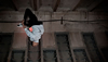 Breakdance Training at the Red Bull BC One Moscow 2011 World Final