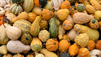 How To Eat Organically and Locally in Winter
