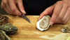 Oysters 101: Learn the Basics