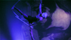 Flash - The Multimedia Performance Art Show
