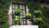 How To Go Green At Home