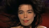 The Life and Career of Bjork