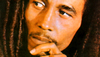 The Life and Career of Bob Marley