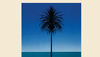 Metronomy Discusses 'The English Riviera'